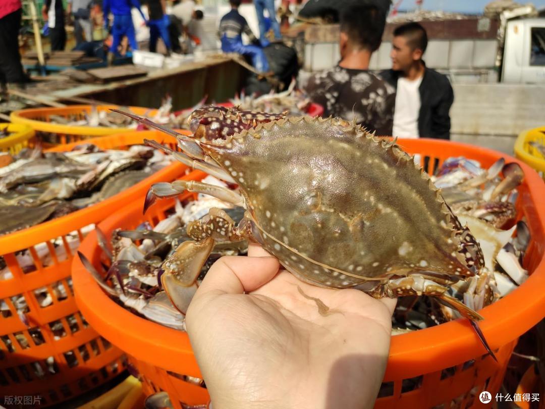天冷后吃海鲜,建议:少吃扇贝和带鱼,多吃这3样,好吃还不贵!
