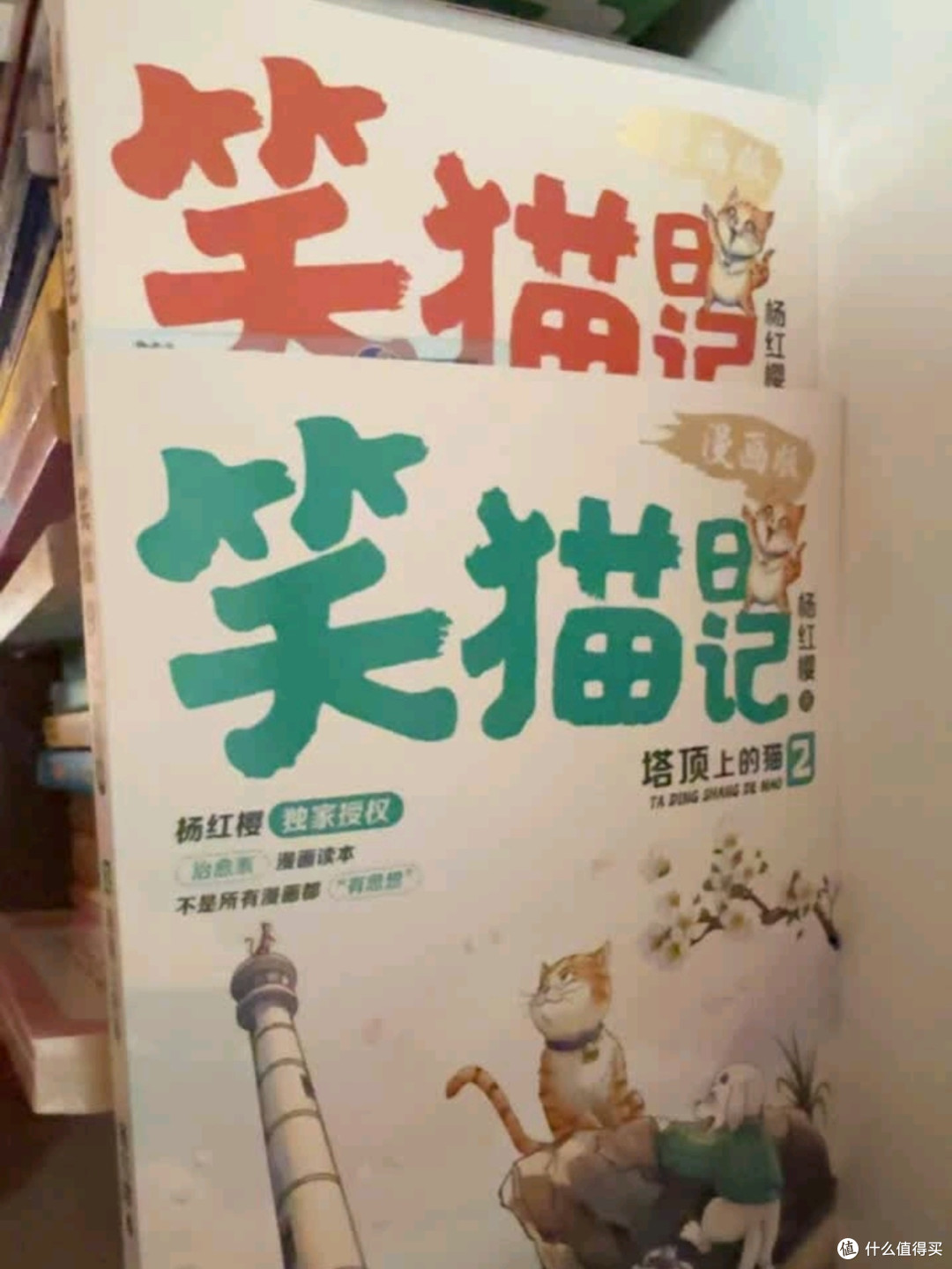 《笑猫日记》:温暖心灵的桥梁