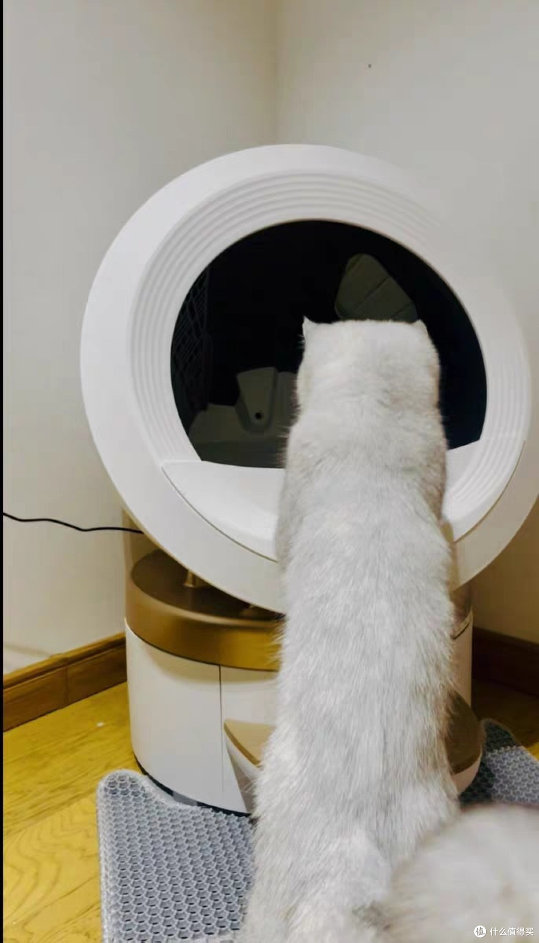 MOVA电动猫厕所智能全自动