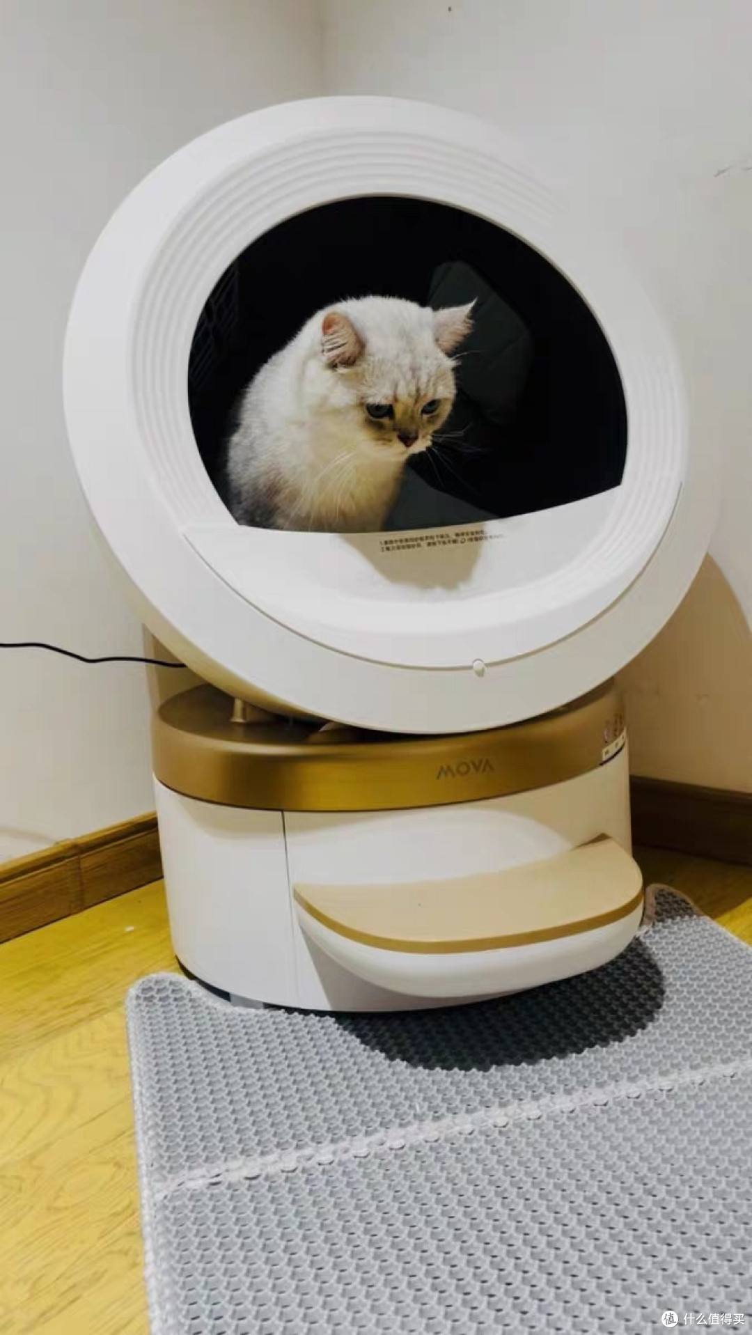 MOVA电动猫厕所智能全自动
