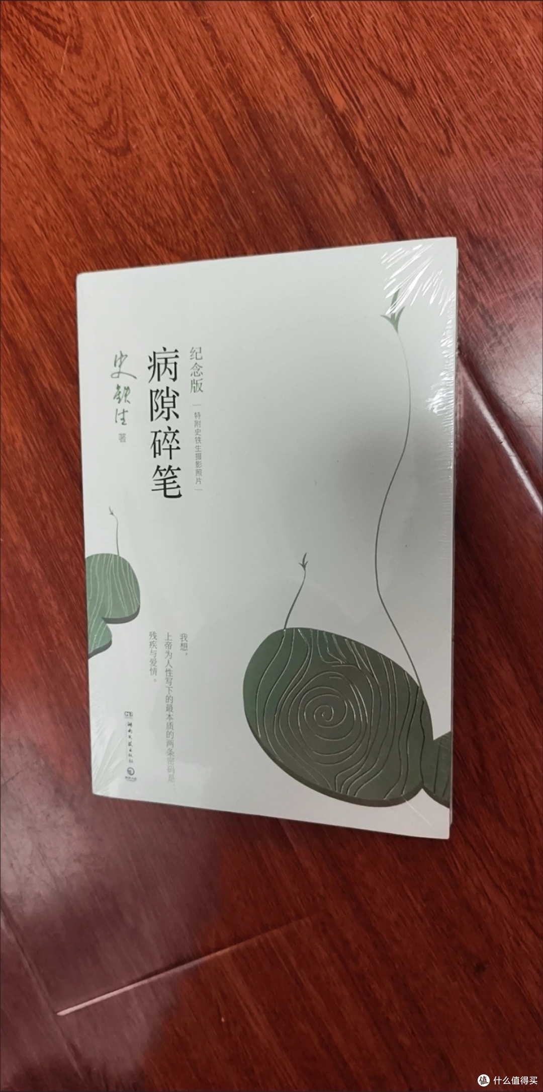 史铁生的病痛与超越之美