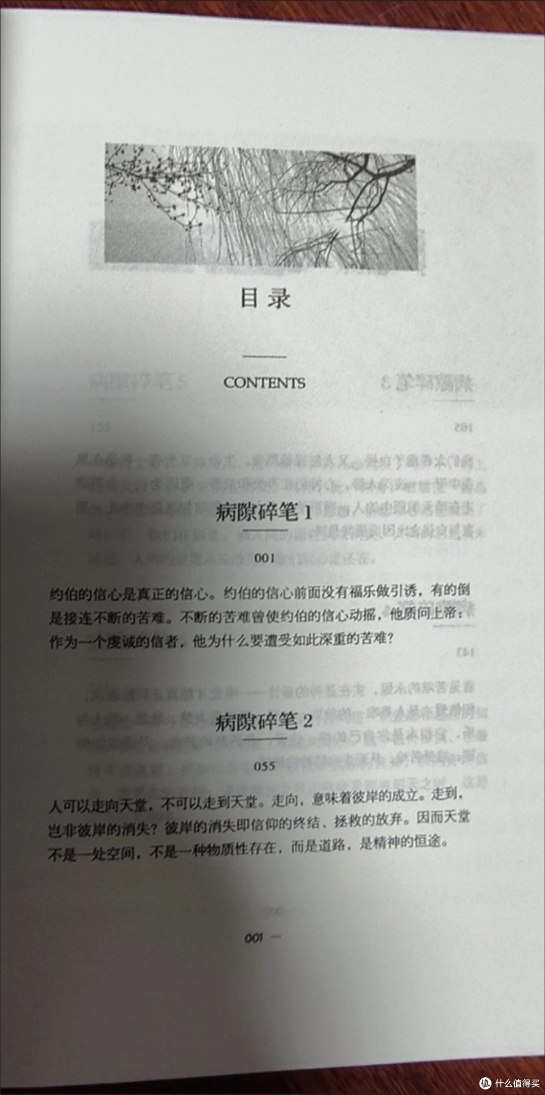 史铁生的病痛与超越之美