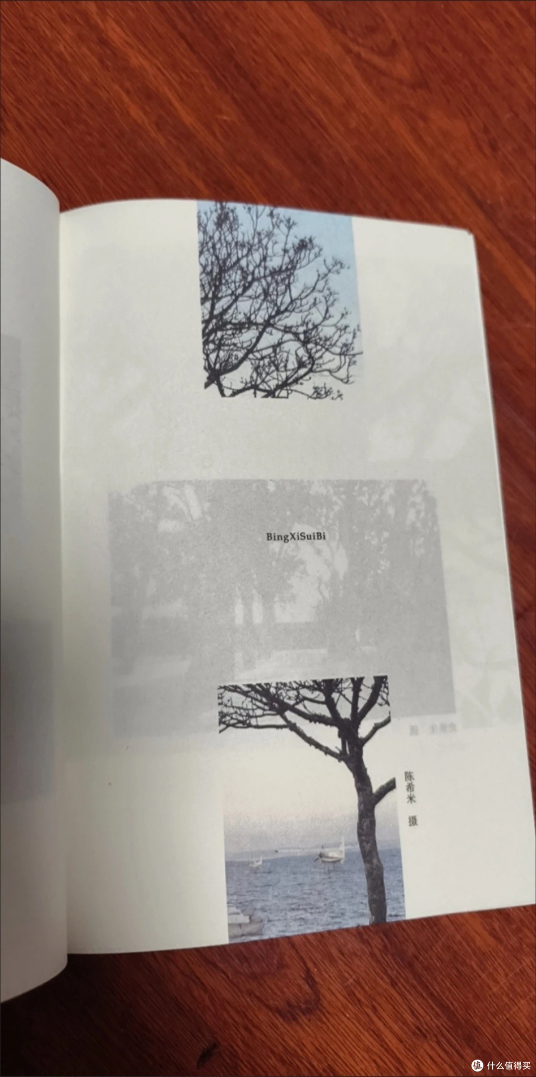 史铁生的病痛与超越之美