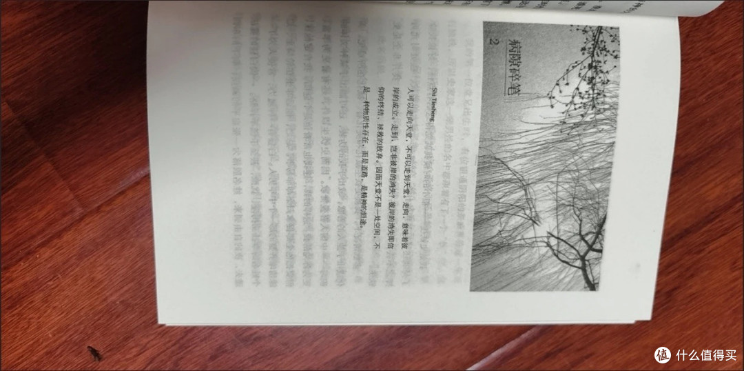史铁生的病痛与超越之美