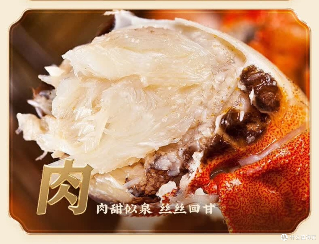 阳澄联合鲜活大闸蟹满黄流油,礼盒装送礼自吃都绝了!