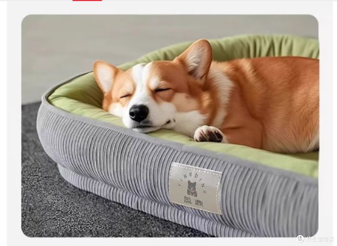 冬季宠物窝:光多拉狗窝保暖舒适,适合大型犬使用!