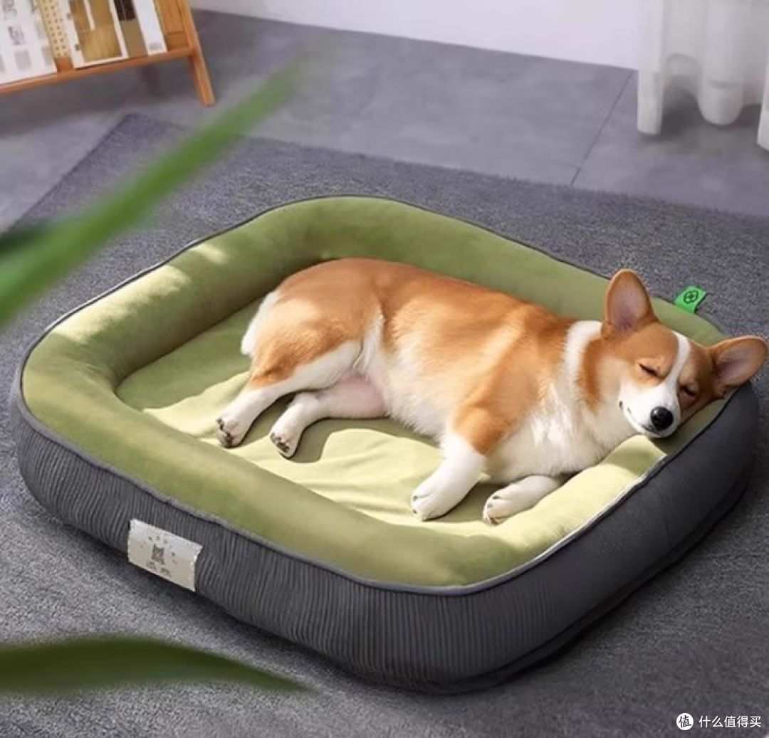 冬季宠物窝:光多拉狗窝保暖舒适,适合大型犬使用!