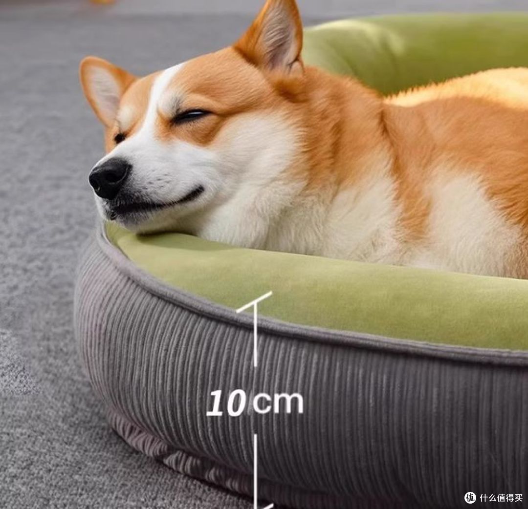 冬季宠物窝:光多拉狗窝保暖舒适,适合大型犬使用!