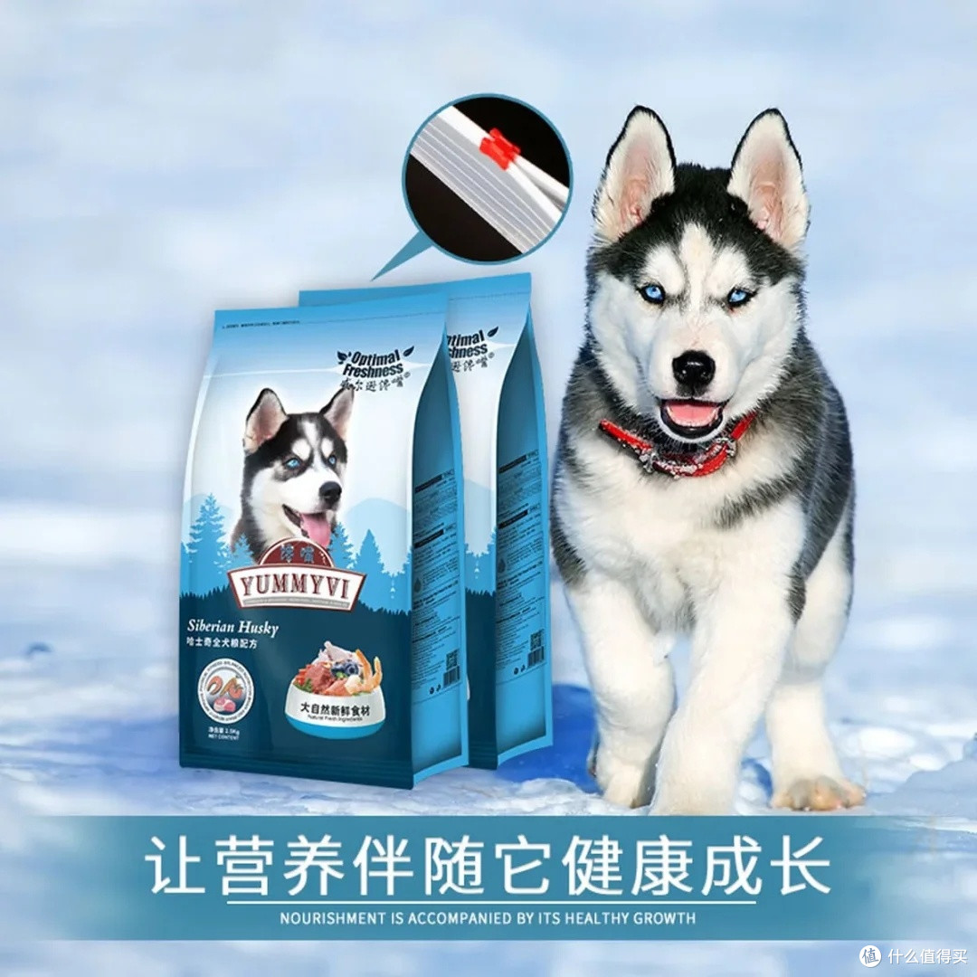 哈士奇幼犬离乳期营养需求与冻干狗粮体验