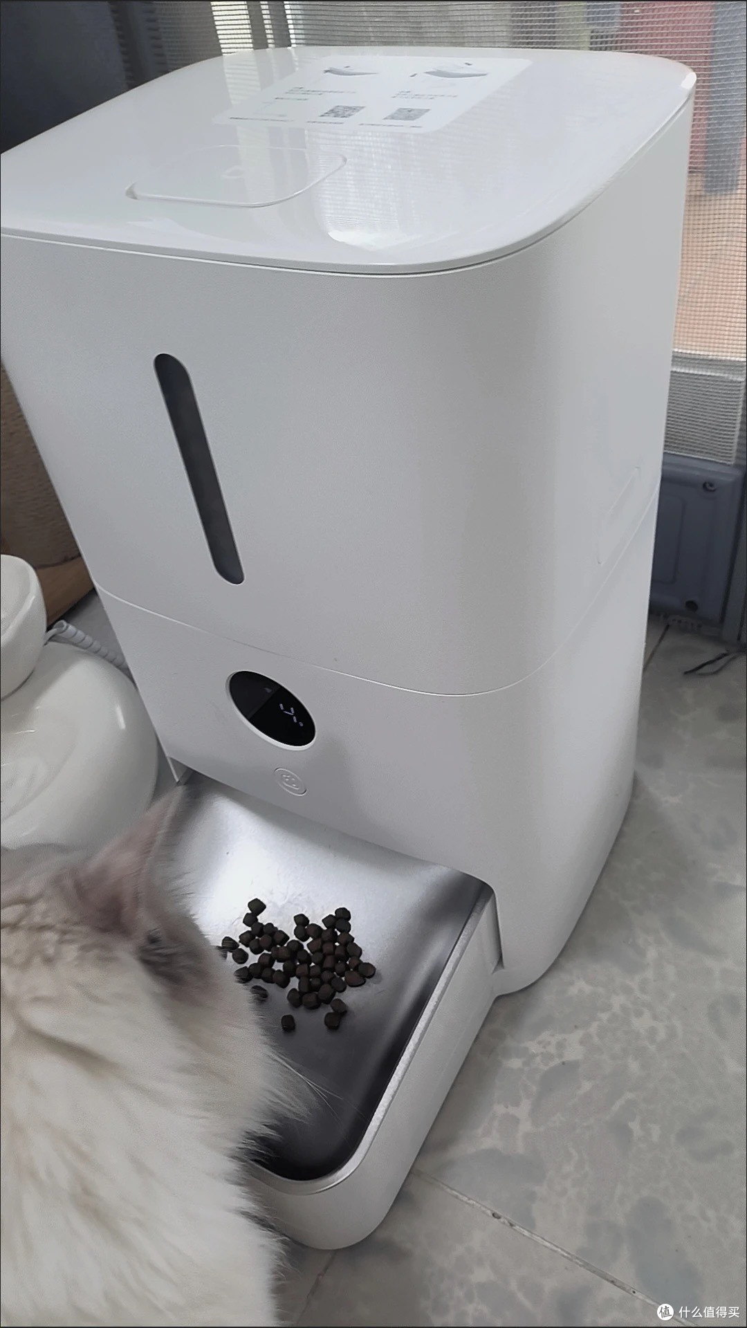 智能喂食器解决出门喂粮焦虑