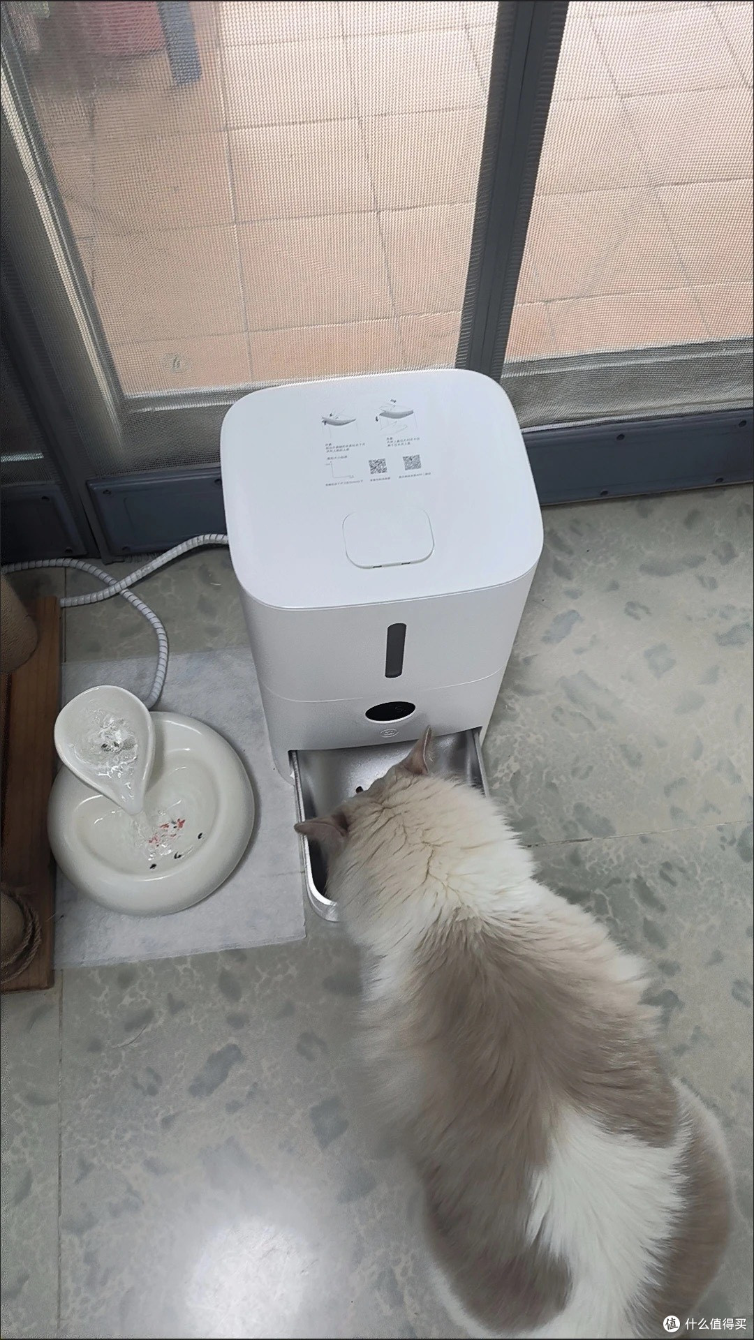 智能喂食器解决出门喂粮焦虑