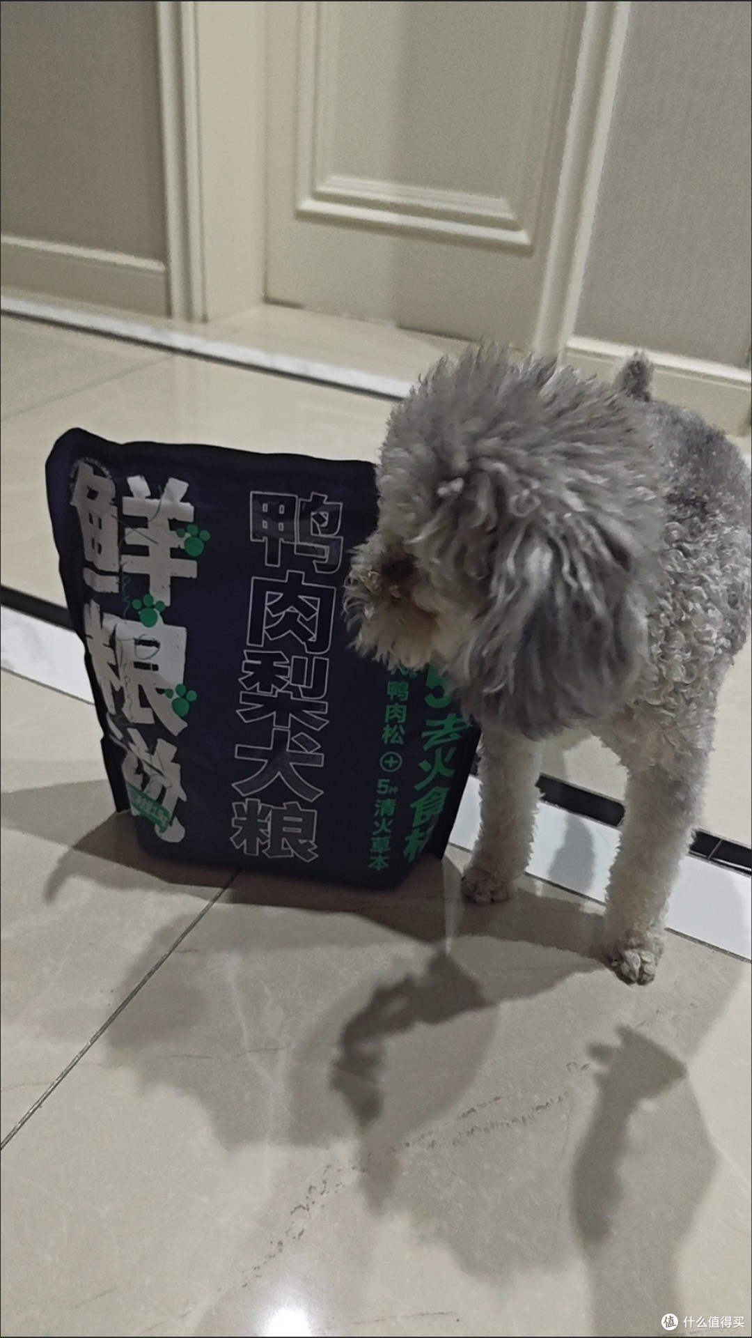 双十一养宠囤粮天花板!鲜粮说肉松粮去泪痕超实用