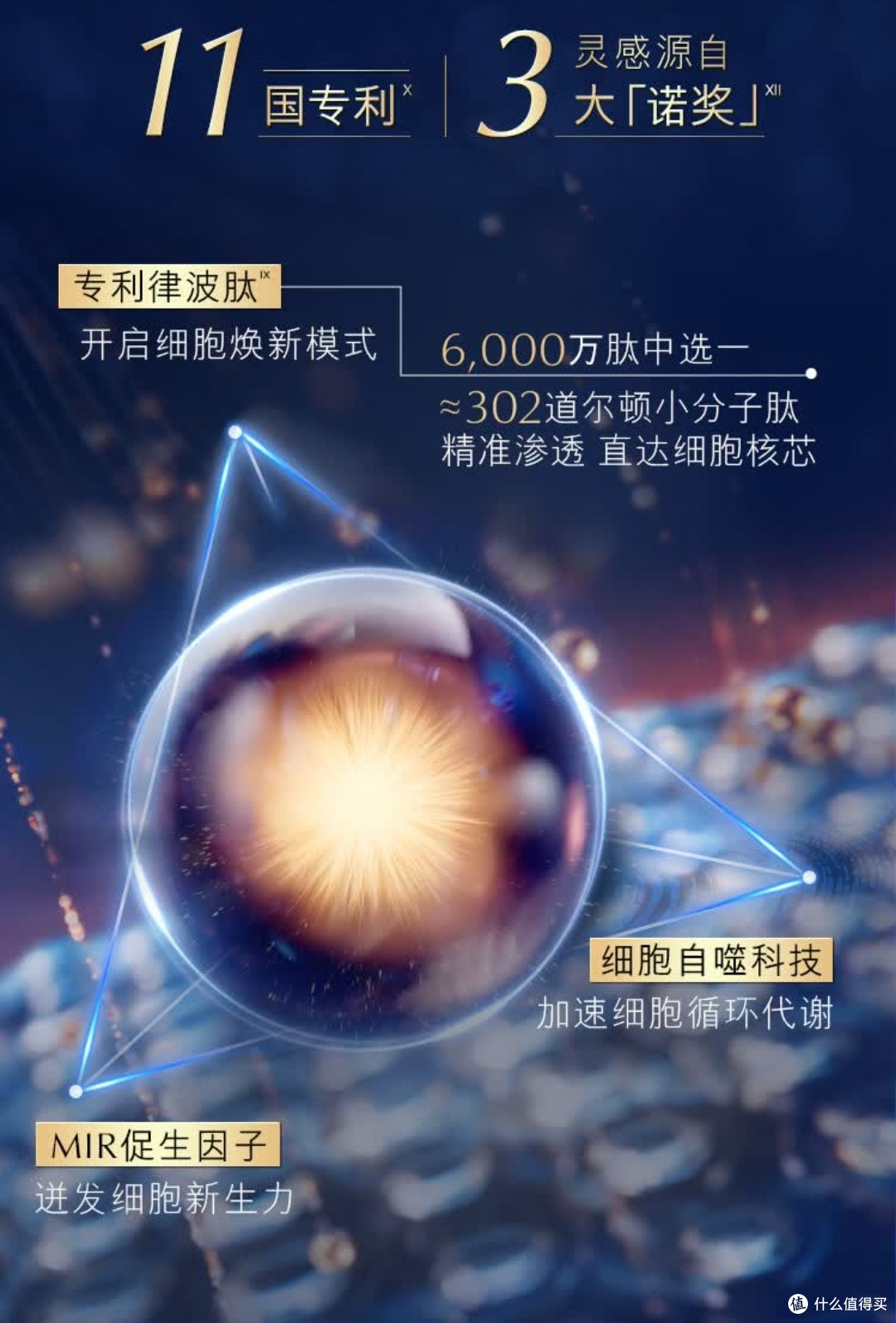 雅诗兰黛小棕瓶套装圣诞送礼的护肤王牌,自用送礼双惊艳!