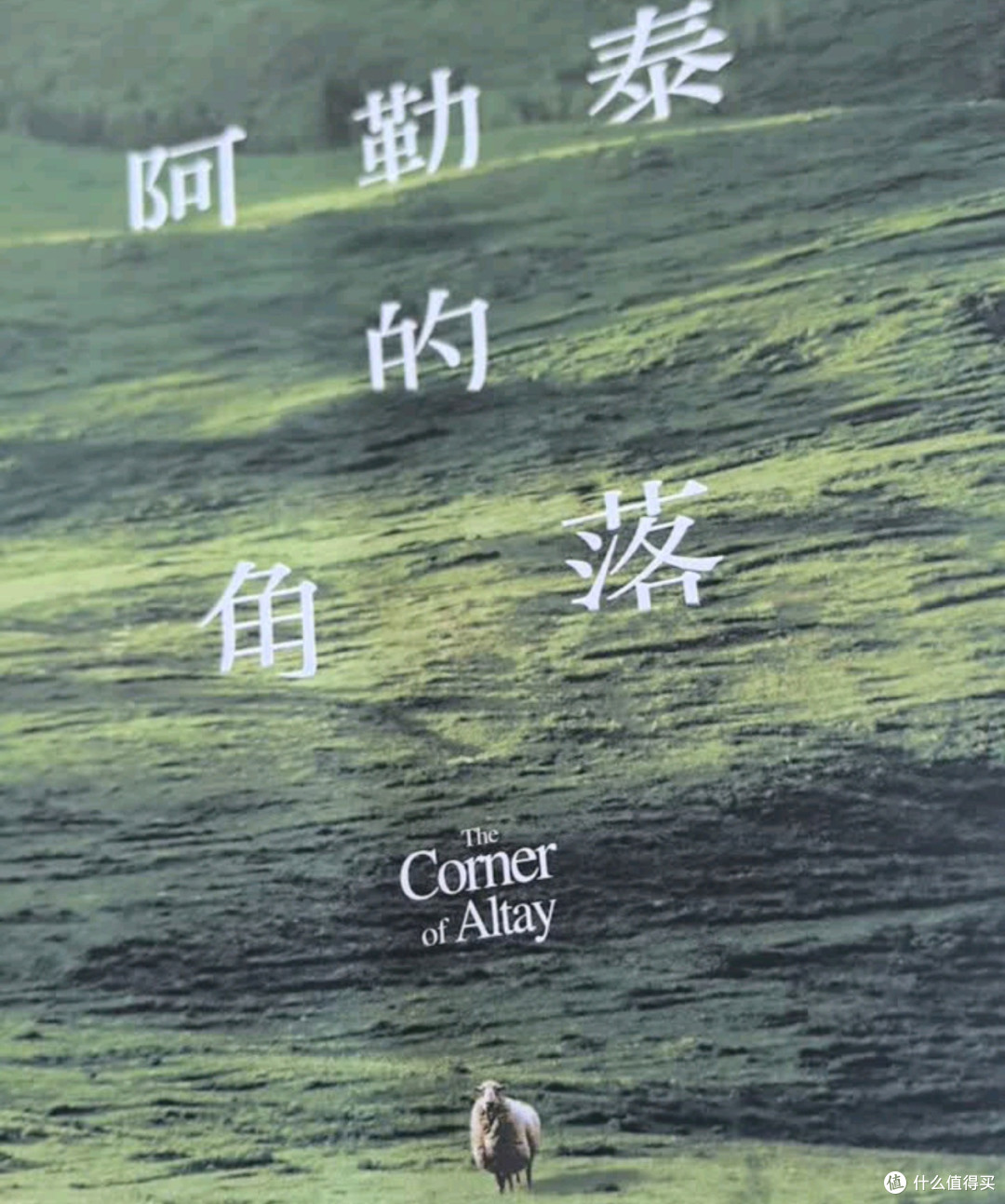 《阿勒泰的角落》:比风更治愈的文字