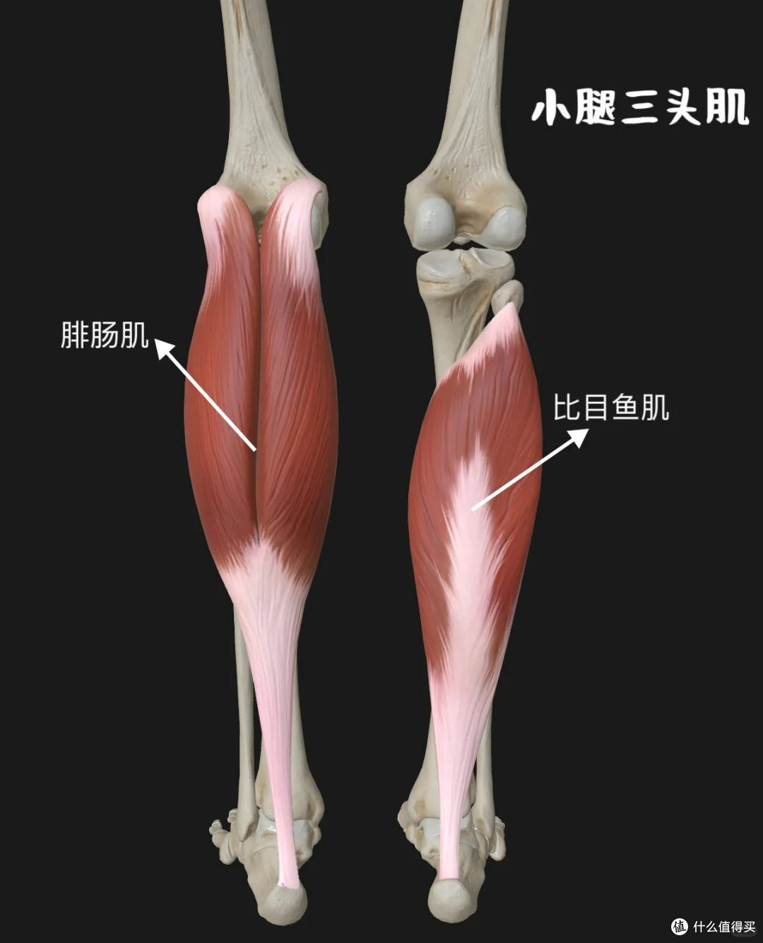 运动后足底痛?可能细节没做好 医生不会告诉你的护理“秘密”