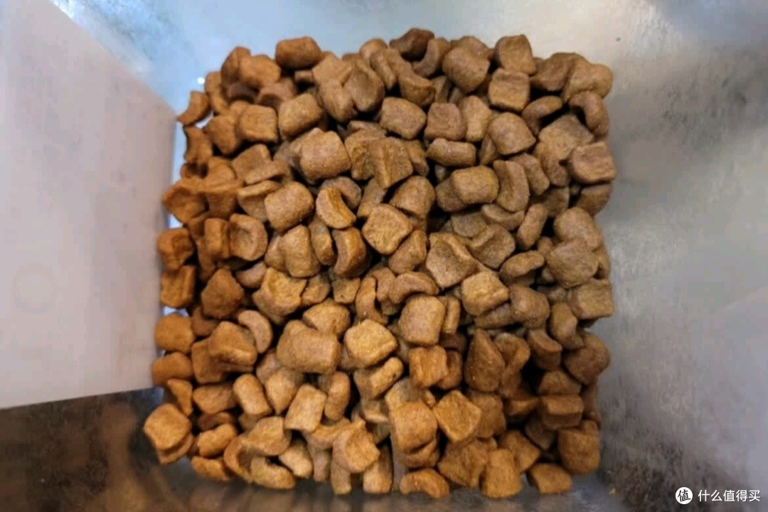 双11养宠必备好物：皇家猫粮美短成猫粮