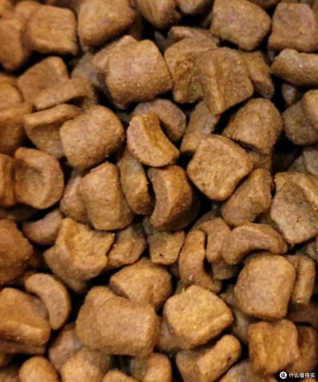 双11养宠必备好物：皇家猫粮美短成猫粮