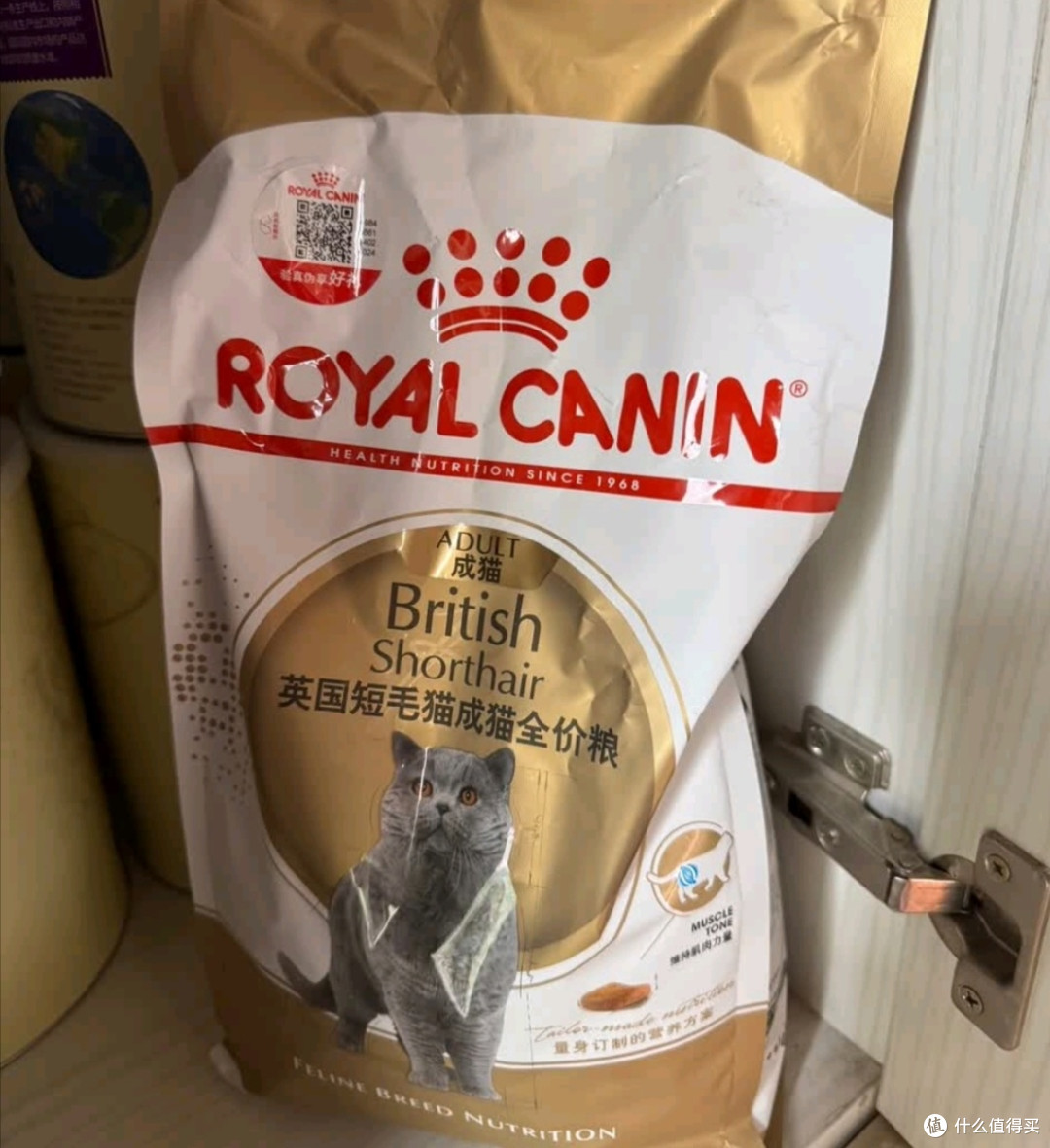 双11养宠必备好物：皇家猫粮美短成猫粮