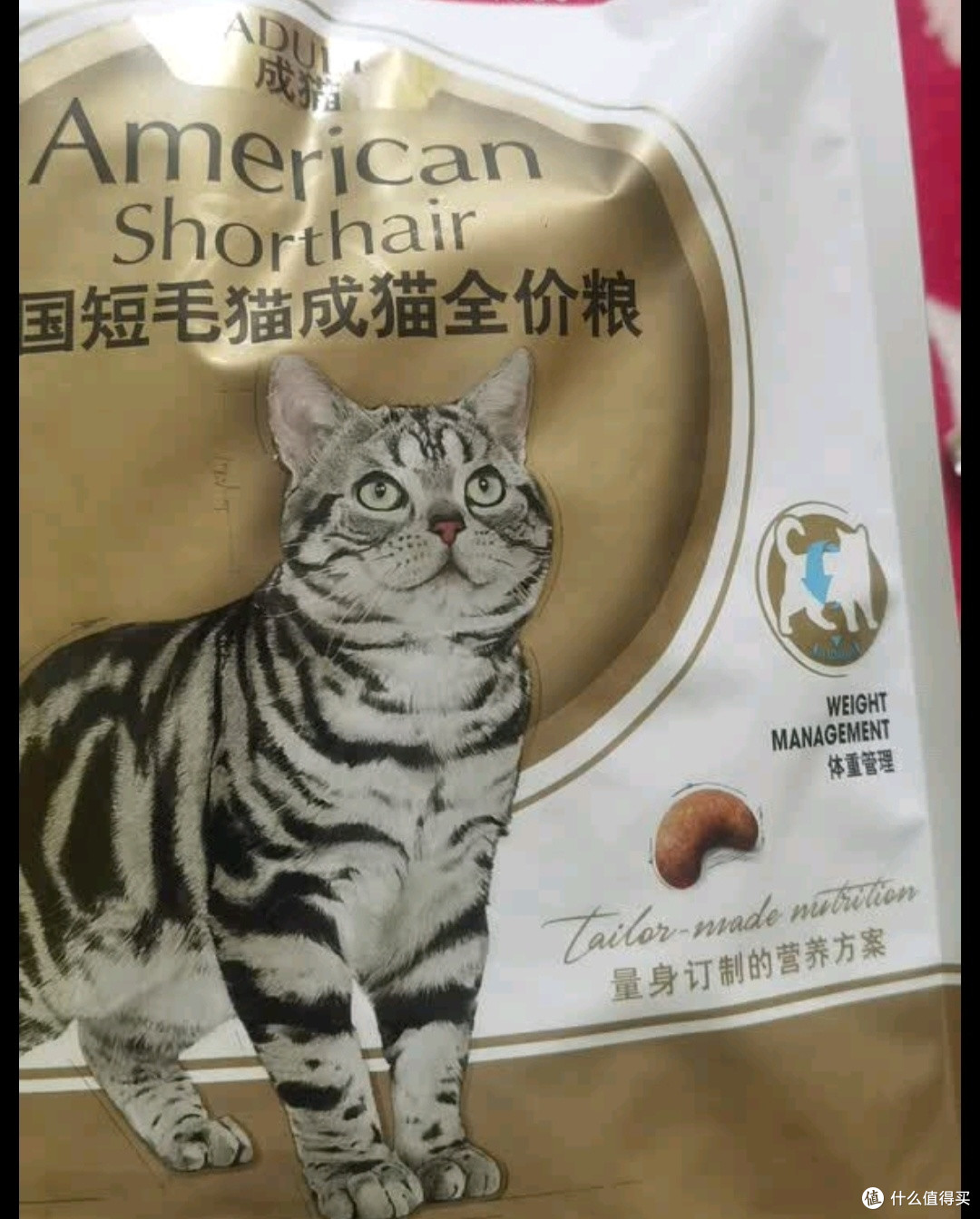 双11养宠必备好物：皇家猫粮美短成猫粮