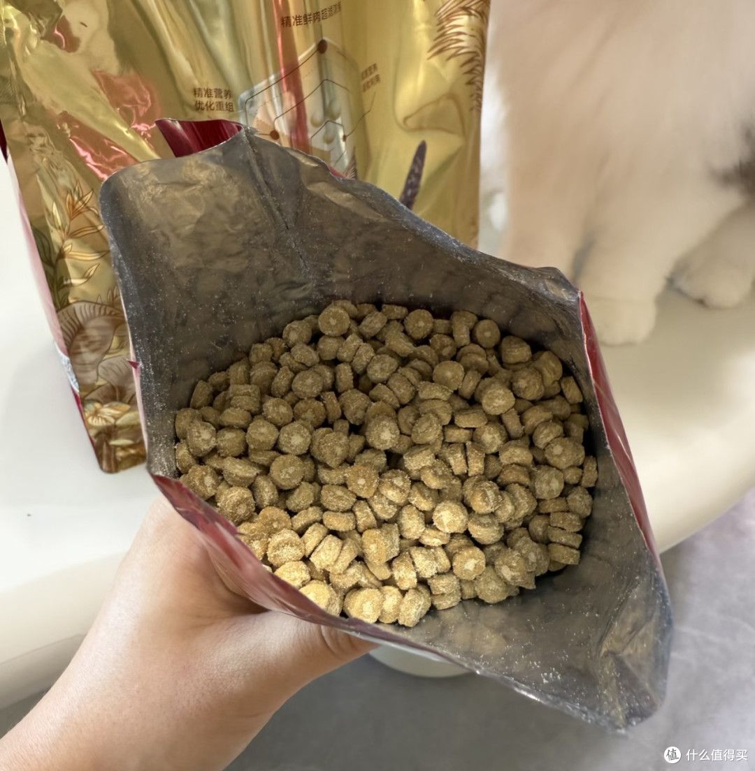 双11弗列加特0压乳猫粮,夹心均匀营养均衡