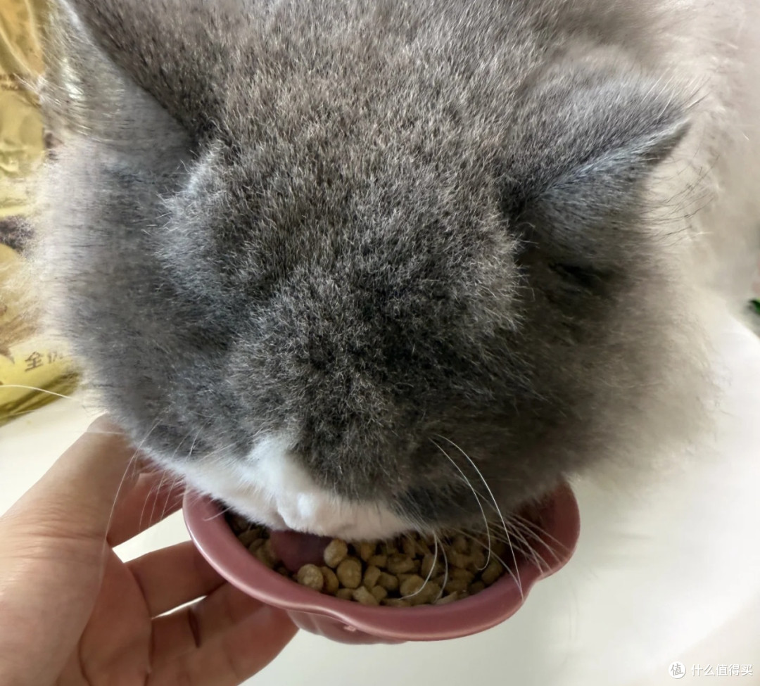 双11弗列加特0压乳猫粮,夹心均匀营养均衡