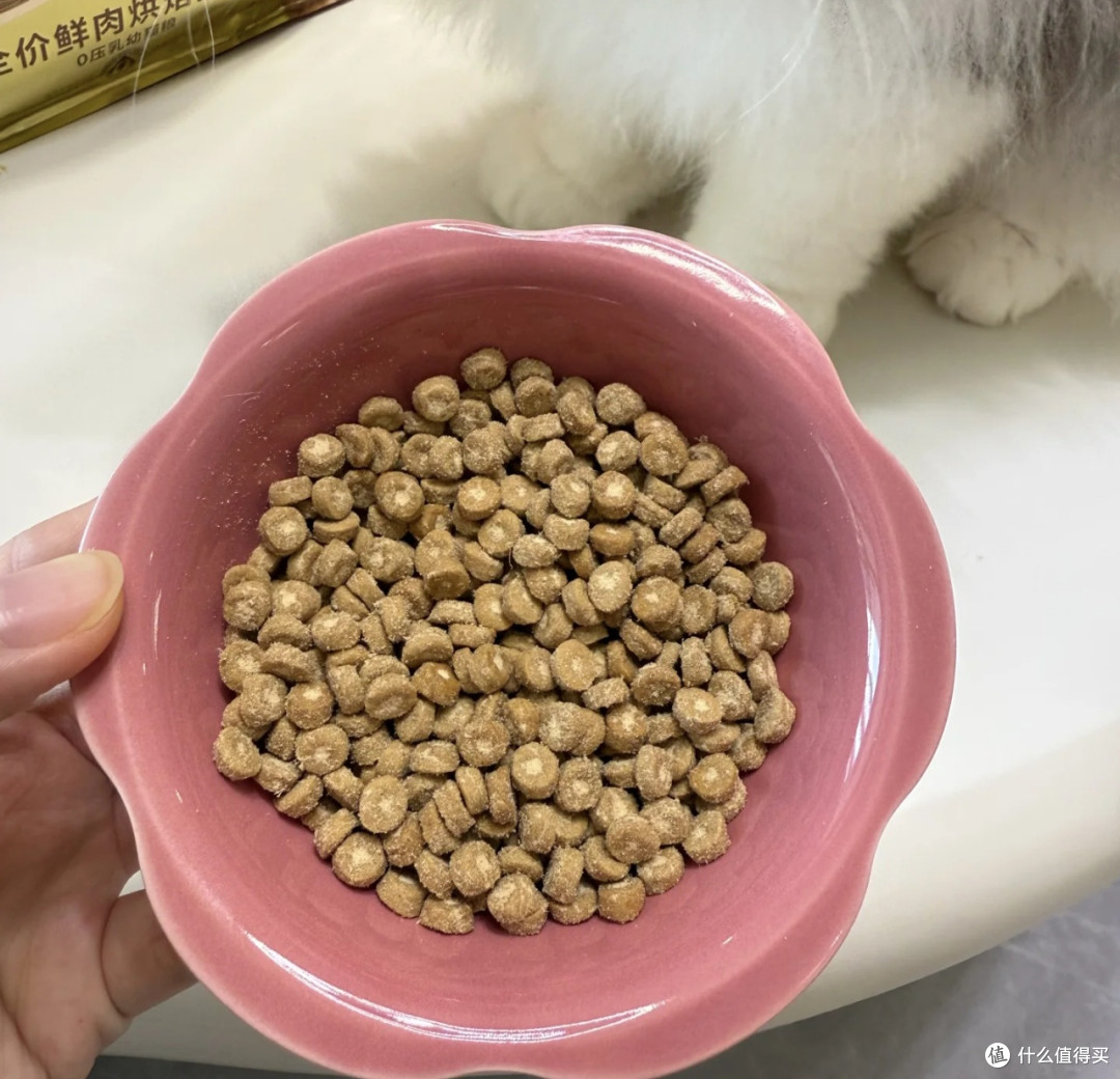 双11弗列加特0压乳猫粮,夹心均匀营养均衡