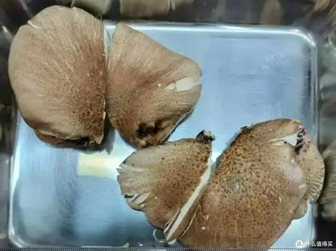 AI说蘑菇能吃,大爷吃完半小时就吐了!这工具咋还“坑人”?