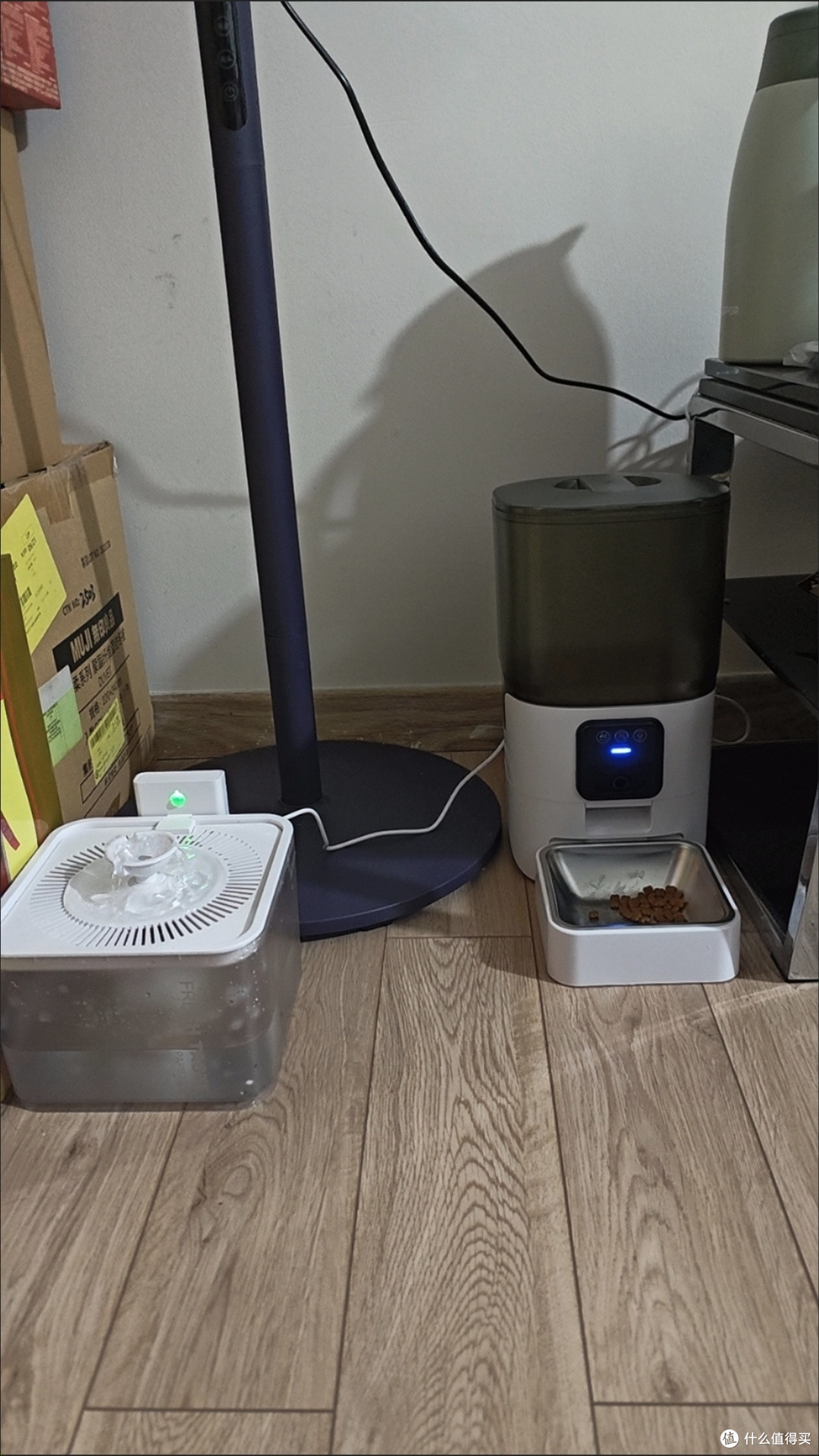 双十一养宠封神!PAPIFEED自动喂食器让出差加班不焦虑✨