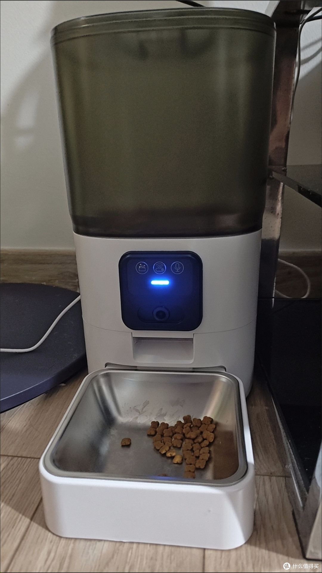 双十一养宠封神!PAPIFEED自动喂食器让出差加班不焦虑✨