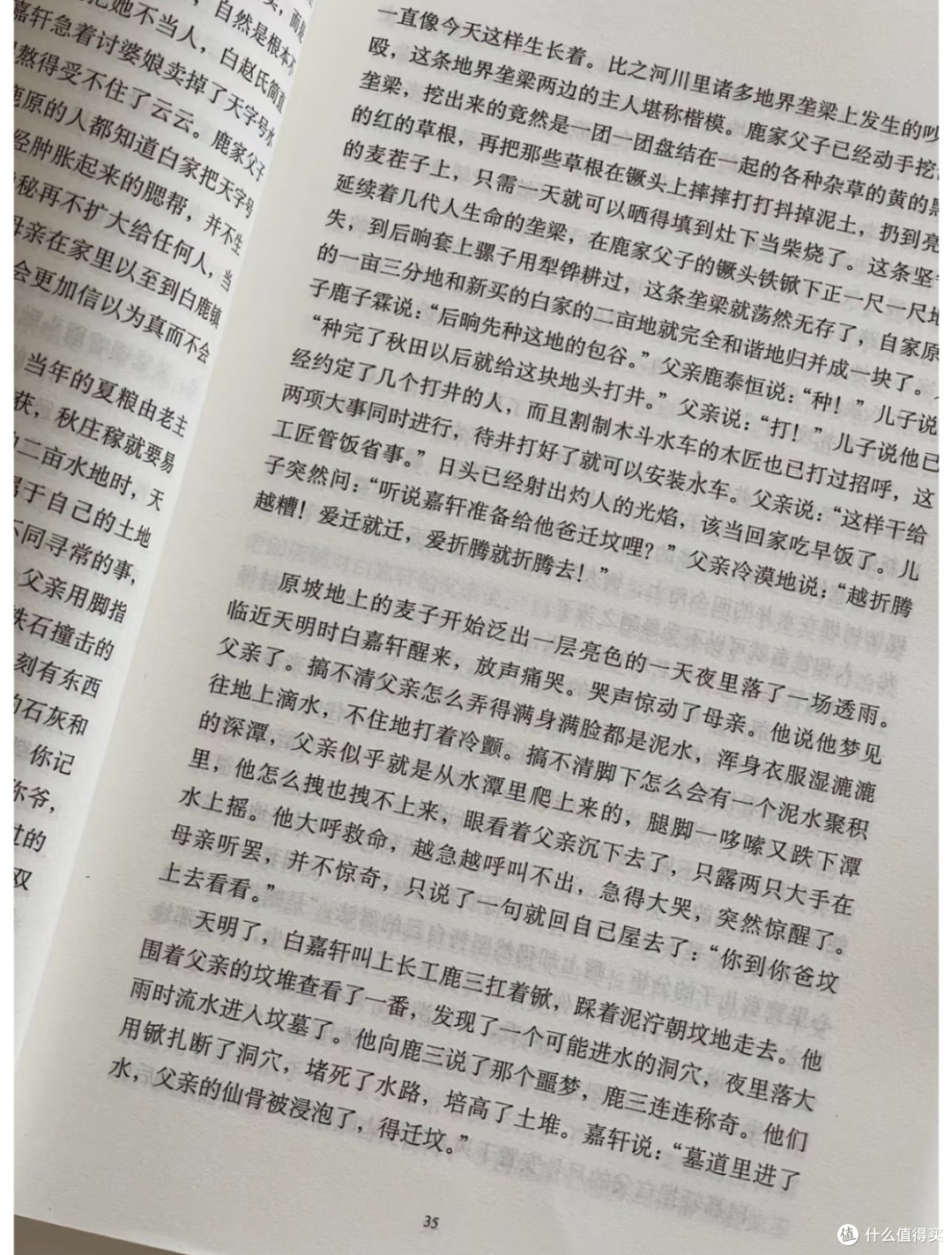 读《白鹿原》：黄土高原上的历史长卷与生命史诗