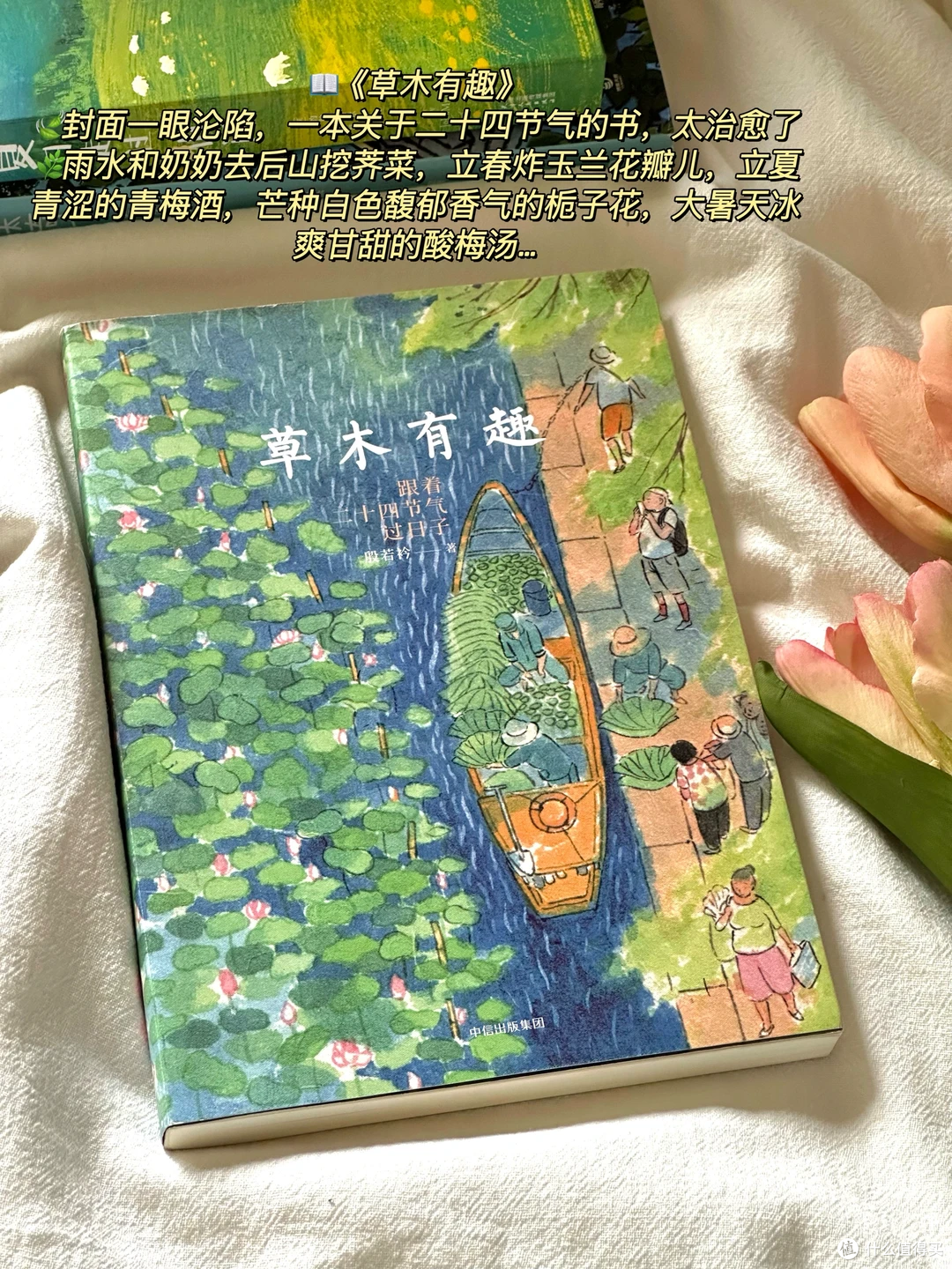 💚 挖到宝藏!7 本夏日书单,清凉又治愈~