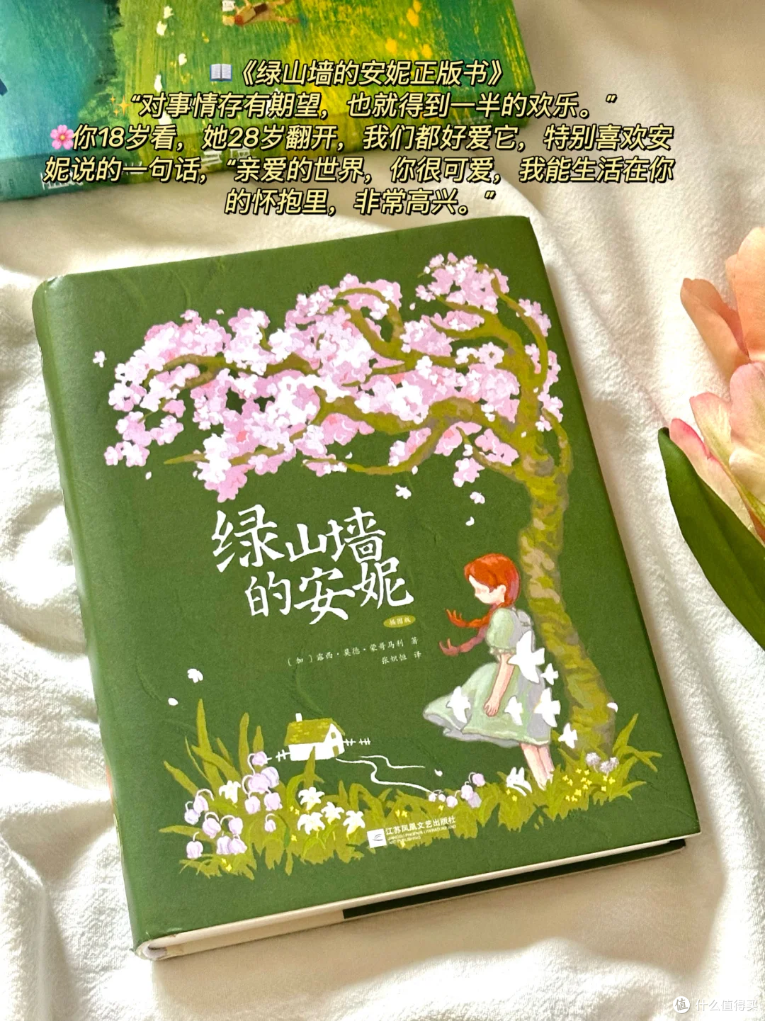 💚 挖到宝藏!7 本夏日书单,清凉又治愈~