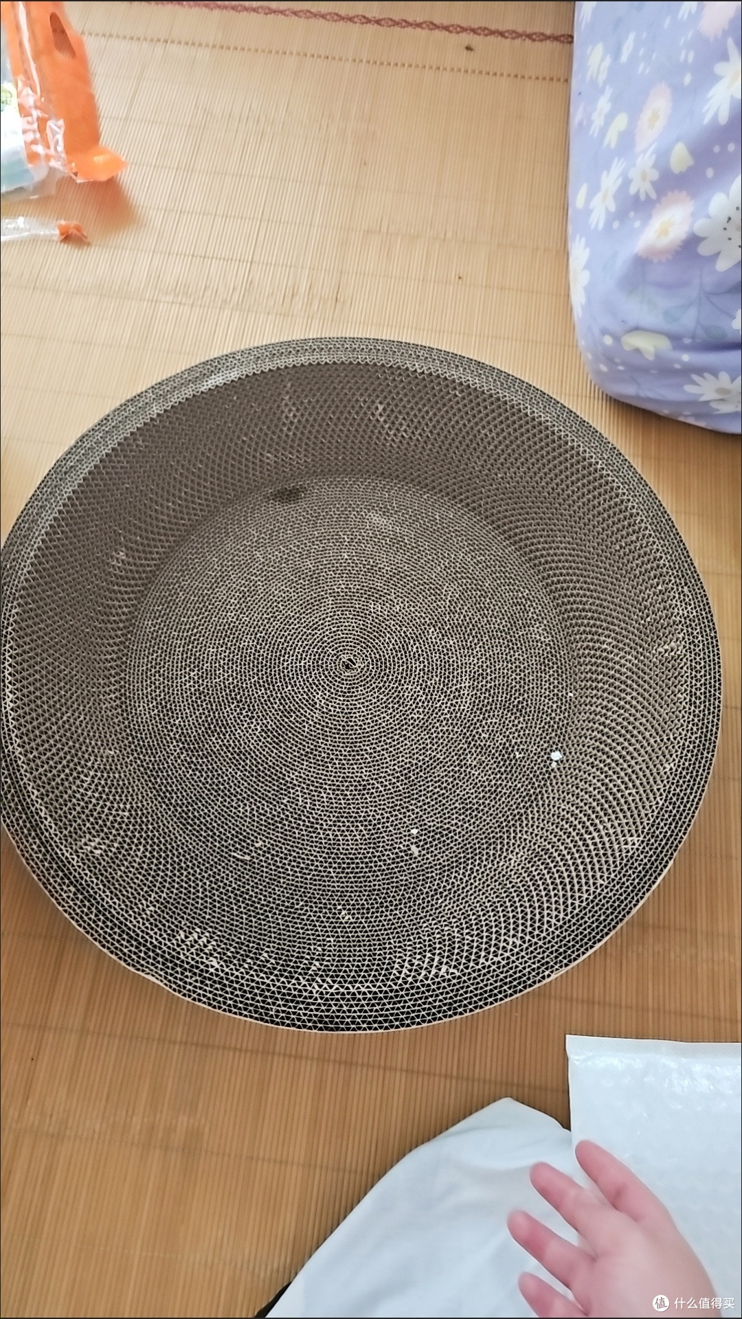 双十一养宠刚需！多可特猫抓板砂盆一体太省心