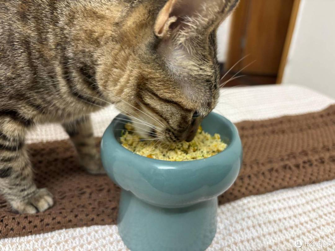 自制猫饭适合懒人吗?自制猫饭七天食谱推荐,自制猫饭配方比例表