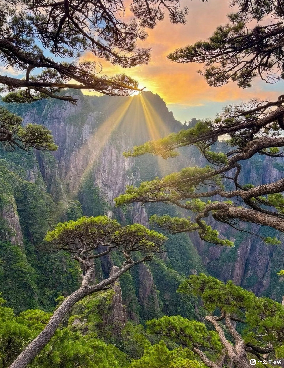 用囤票赴一场黄山浪漫之约,解锁山水间的治愈与惊喜