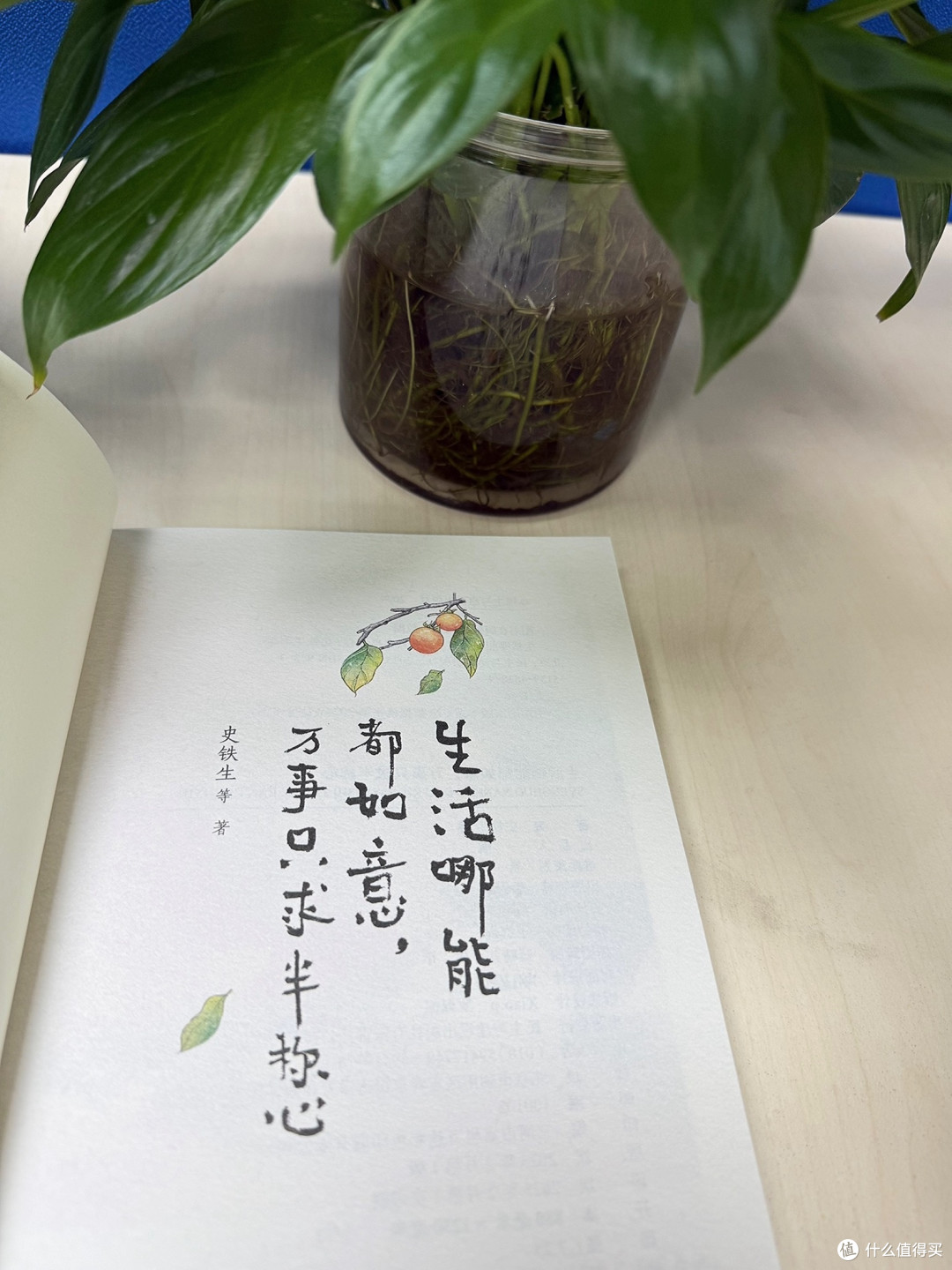 这本散文读懂生活真谛，迷茫时读它超安心