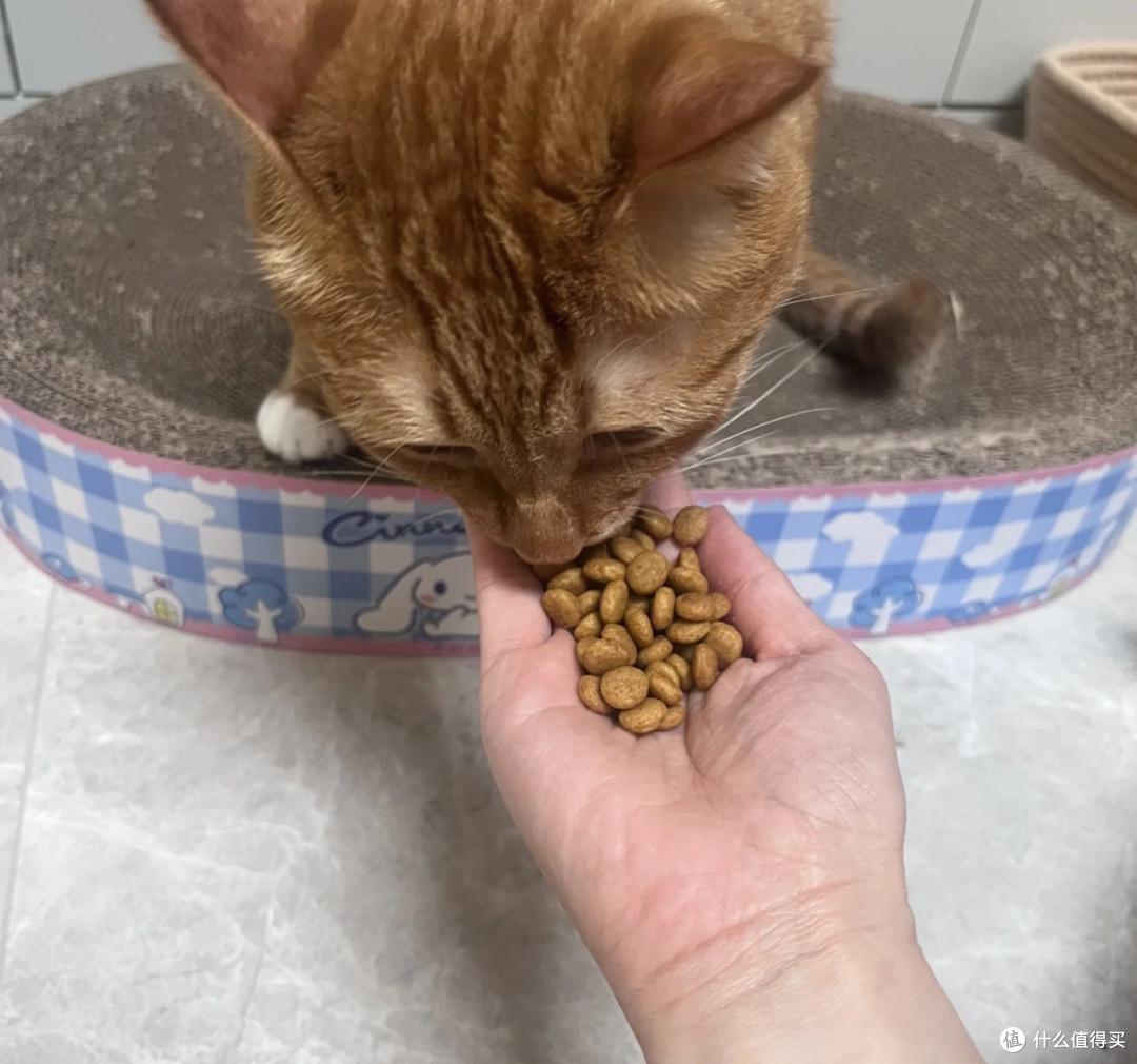 皇家泌尿处方粮解决公猫泌尿问题