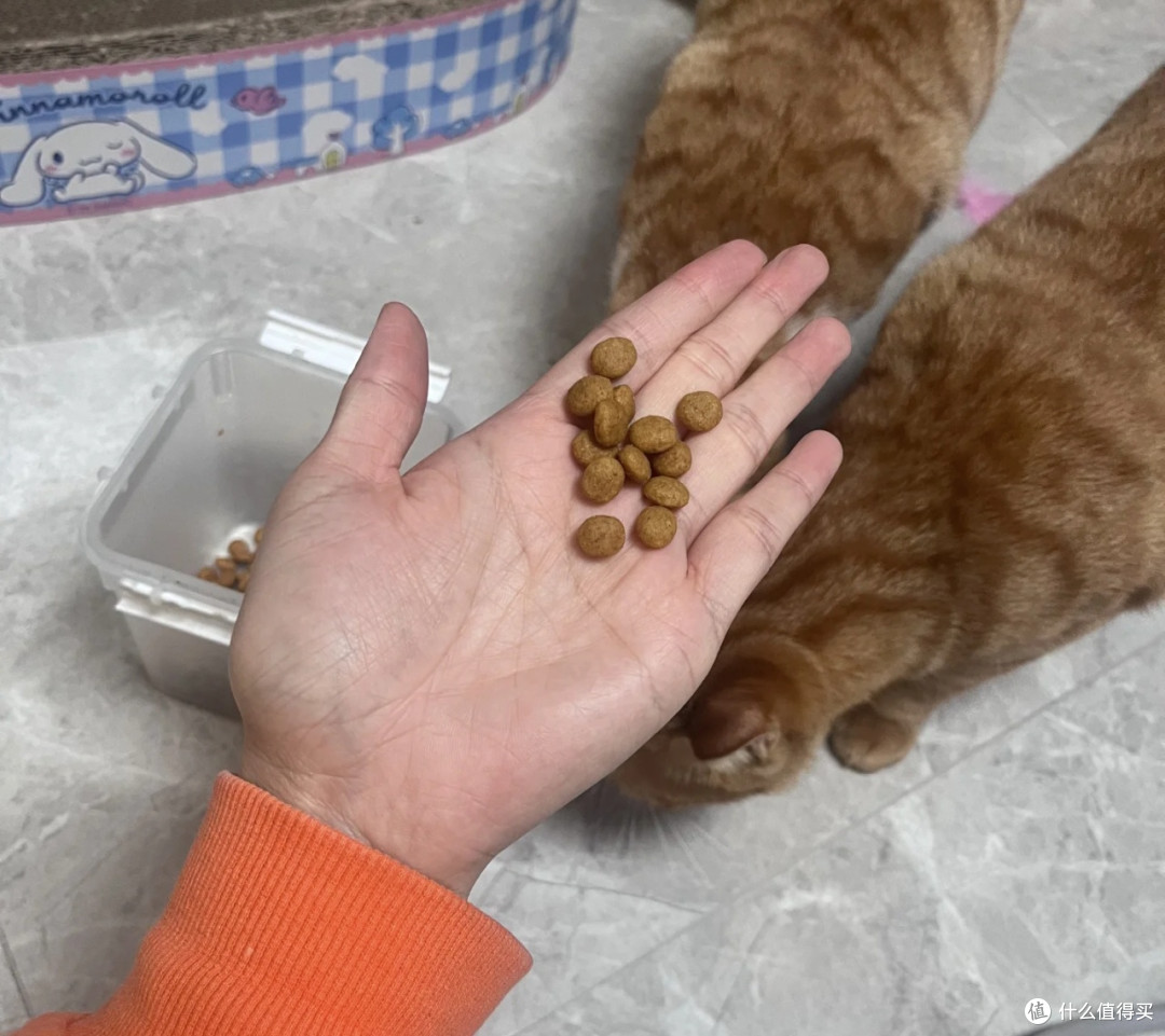 皇家泌尿处方粮解决公猫泌尿问题
