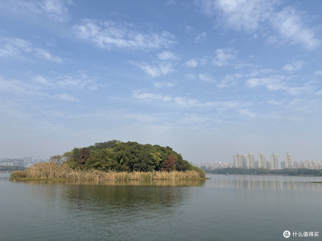 暮秋虎丘湿地:一场与清景的不期而遇
