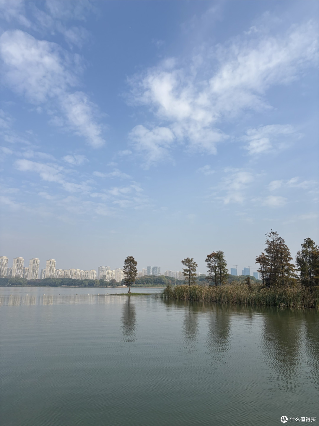 暮秋虎丘湿地:一场与清景的不期而遇