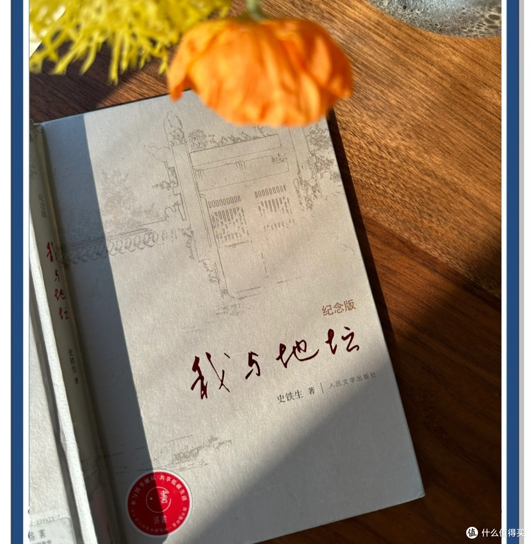 书籍与个人成长,探讨一本书如何影响你的世界观