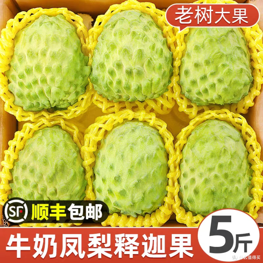 热带蜜罐-释迦