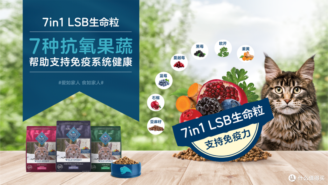 精细化养宠热潮下,Blue Buffalo蓝挚原野精灵系列获95%猫咪喜欢