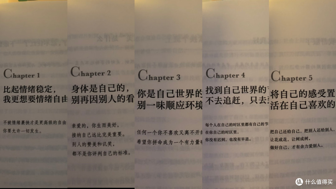 读完《先别怪自己》:与内耗和解的治愈指南