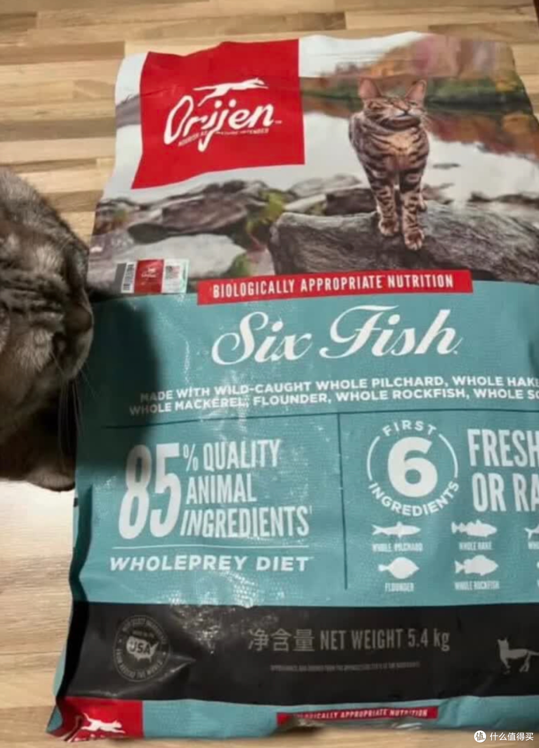 渴望猫粮：百元喂出亮毛猫，软便怪终于不粘屁股！