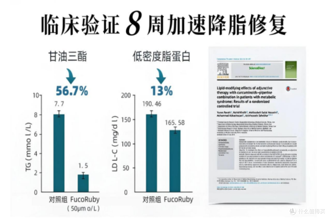 护肝片哪个牌子好用不贵?哪个牌子效果好?性价比最高的护肝片