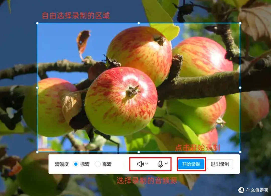 电脑上如何录屏?4款软件,人人都能轻松学会