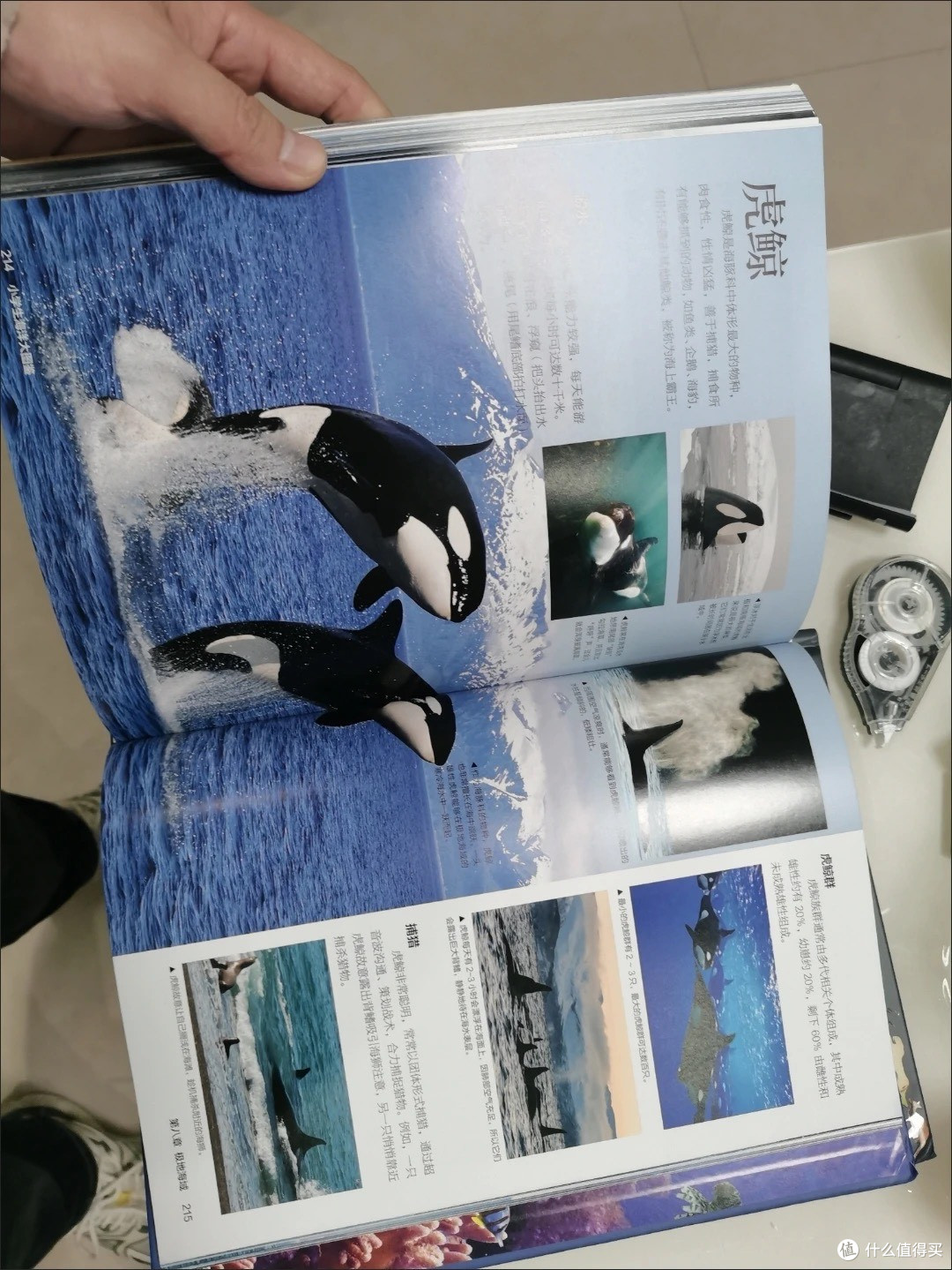 小学生海洋大图鉴:深海知识宝库