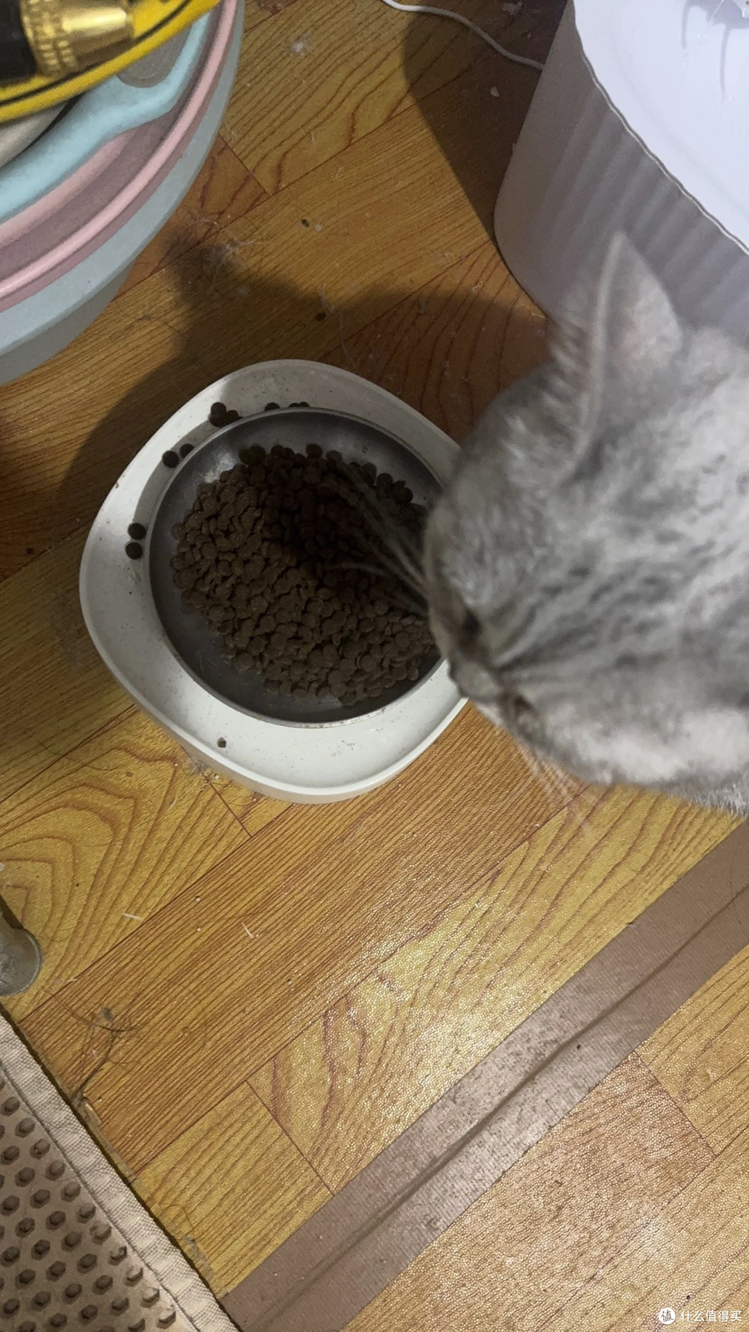 阿飞和巴弟E76猫粮:高蛋白无谷配方,猫咪最爱