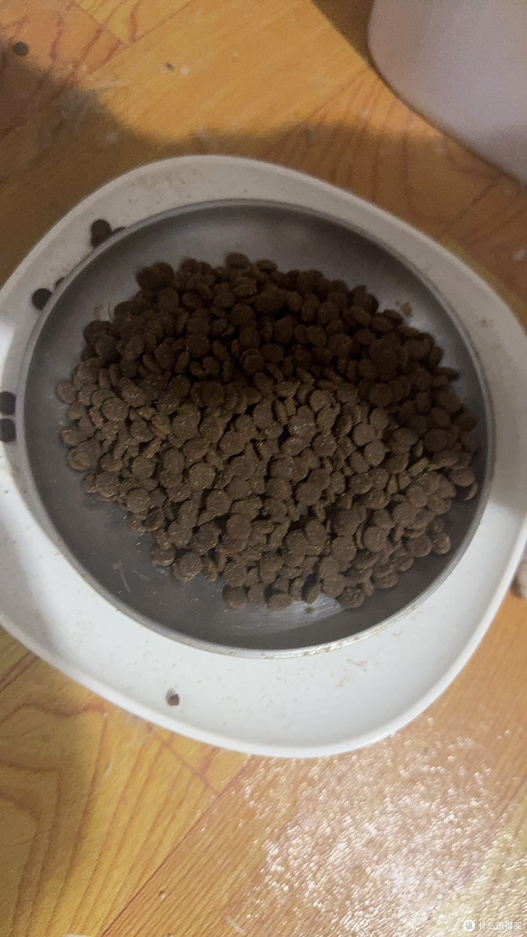 阿飞和巴弟E76猫粮:高蛋白无谷配方,猫咪最爱